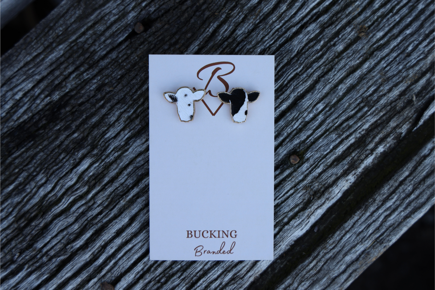 Cow studs